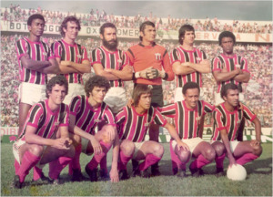 Botafogo FC de 1977